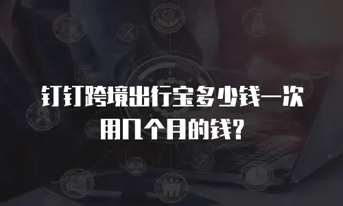 钉钉跨境出行宝多少钱一次用几个月的钱？