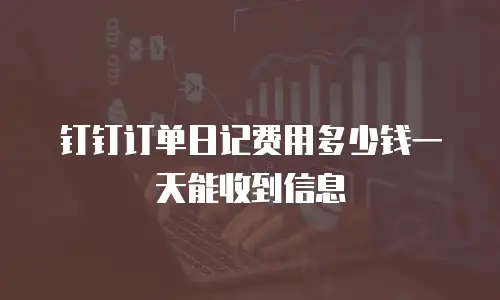 钉钉订单日记费用多少钱一天能收到信息