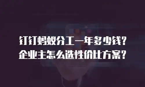 钉钉蚂蚁分工一年多少钱？企业主怎么选性价比方案？