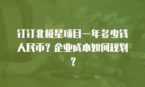 钉钉北极星项目一年多少钱人民币？企业成本如何规划？