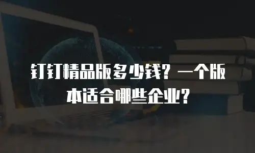 钉钉精品版多少钱？一个版本适合哪些企业？