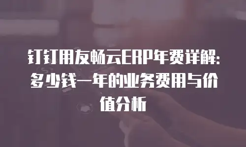 钉钉用友畅云ERP年费详解：多少钱一年的业务费用与价值分析