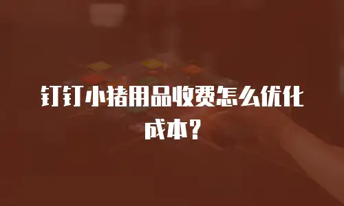 钉钉小猪用品收费怎么优化成本？