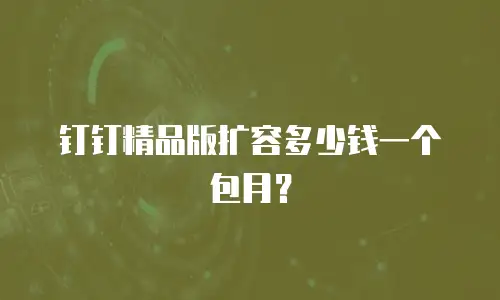 钉钉精品版扩容多少钱一个包月？