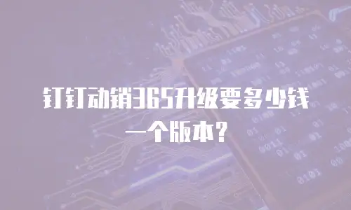 钉钉动销365升级要多少钱一个版本？
