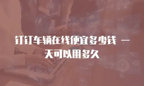 钉钉车辆在线便宜多少钱 一天可以用多久