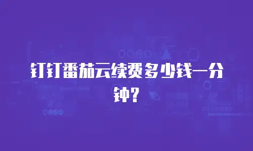 钉钉番茄云续费多少钱一分钟？