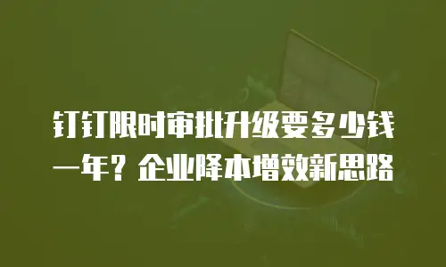 钉钉限时审批升级要多少钱一年？企业降本增效新思路