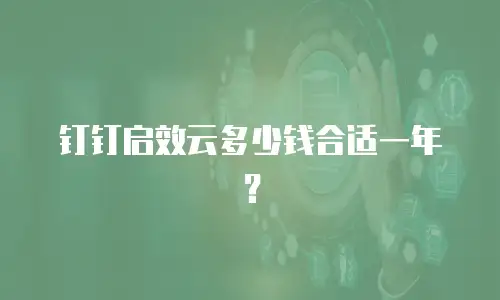 钉钉启效云多少钱合适一年？