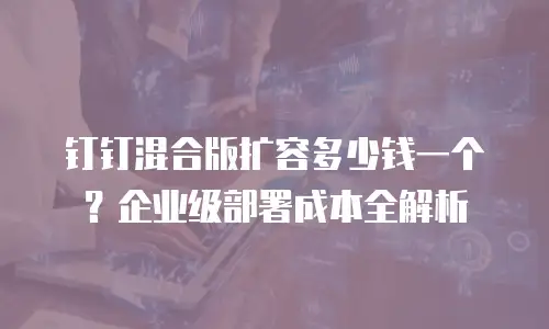钉钉混合版扩容多少钱一个？企业级部署成本全解析