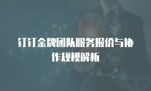 钉钉金牌团队服务报价与协作规模解析