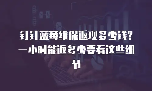 钉钉蓝莓维保返现多少钱？一小时能返多少要看这些细节