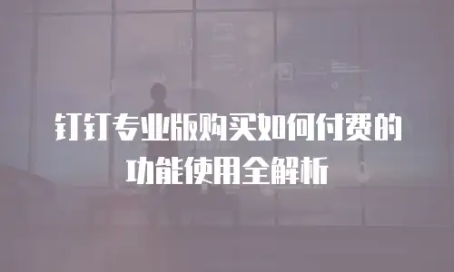 钉钉专业版购买如何付费的功能使用全解析
