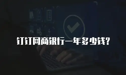 钉钉网商银行一年多少钱？