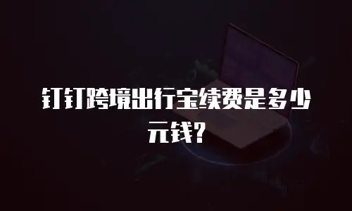 钉钉跨境出行宝续费是多少元钱？