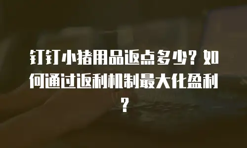 钉钉小猪用品返点多少？如何通过返利机制最大化盈利？