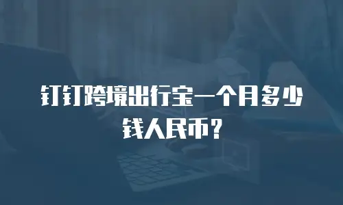 钉钉跨境出行宝一个月多少钱人民币？