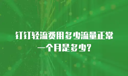 钉钉轻流费用多少流量正常一个月是多少？