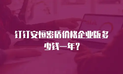 钉钉安恒密盾价格企业版多少钱一年？