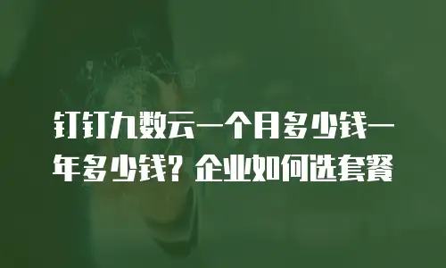 钉钉九数云一个月多少钱一年多少钱？企业如何选套餐