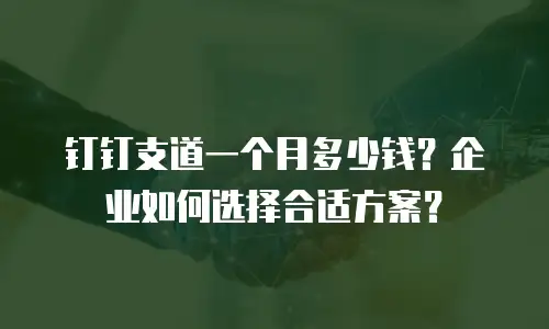 钉钉支道一个月多少钱？企业如何选择合适方案？