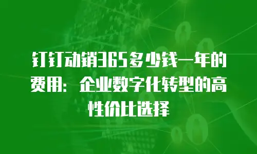 钉钉动销365多少钱一年的费用：企业数字化转型的高性价比选择