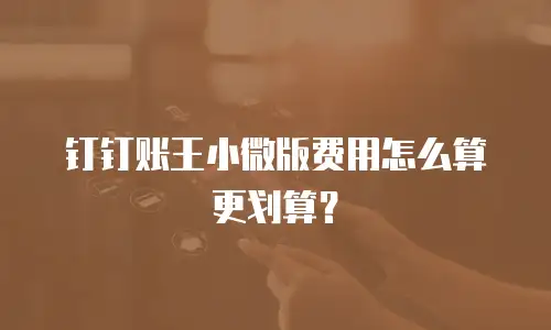 钉钉账王小微版费用怎么算更划算？