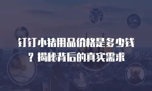钉钉小猪用品价格是多少钱？揭秘背后的真实需求