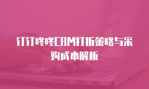 钉钉咚咚CRM打折策略与采购成本解析