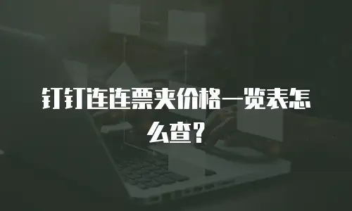 钉钉连连票夹价格一览表怎么查？