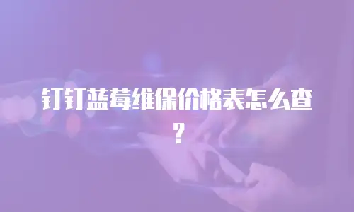 钉钉蓝莓维保价格表怎么查？