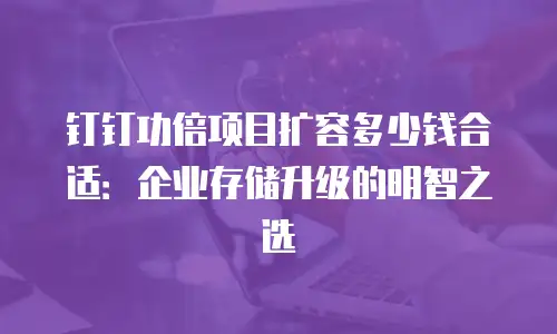钉钉功倍项目扩容多少钱合适：企业存储升级的明智之选