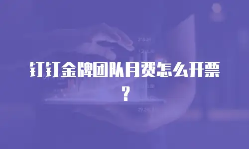 钉钉金牌团队月费怎么开票？