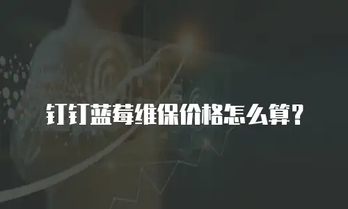 钉钉蓝莓维保价格怎么算？