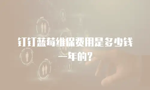 钉钉蓝莓维保费用是多少钱一年的？