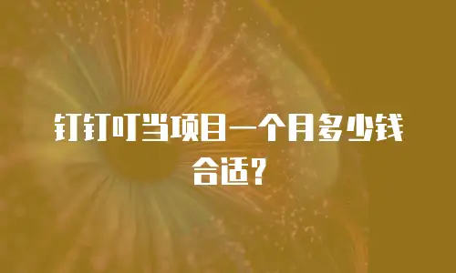 钉钉叮当项目一个月多少钱合适？