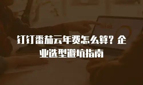 钉钉番茄云年费怎么算？企业选型避坑指南