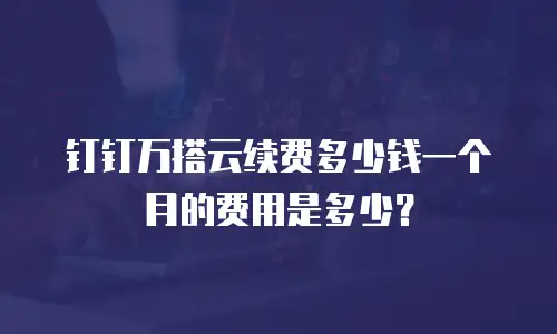 钉钉万搭云续费多少钱一个月的费用是多少？