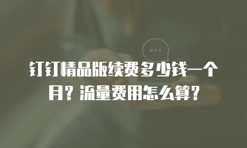 钉钉精品版续费多少钱一个月？流量费用怎么算？