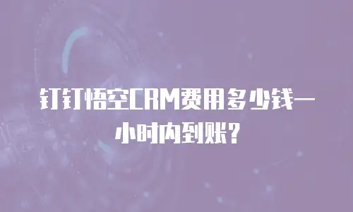 钉钉悟空CRM费用多少钱一小时内到账？