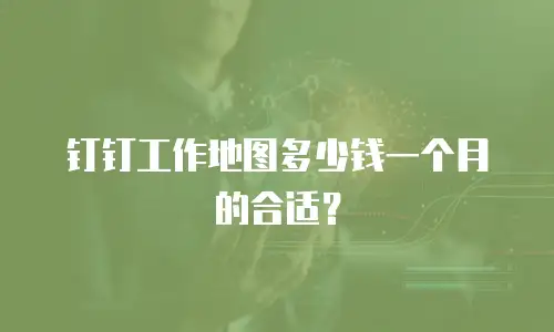 钉钉工作地图多少钱一个月的合适？