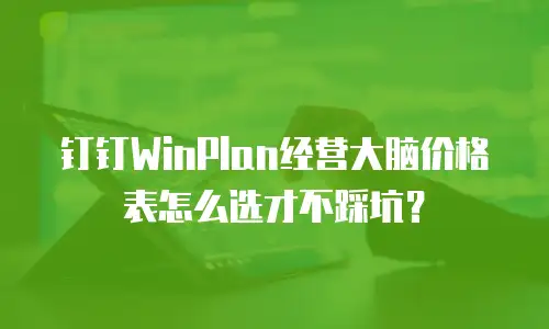 钉钉WinPlan经营大脑价格表怎么选才不踩坑？