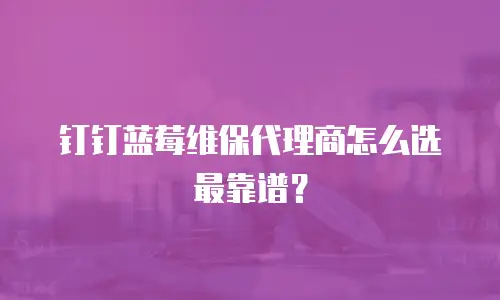 钉钉蓝莓维保代理商怎么选最靠谱？