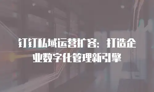 钉钉私域运营扩容：打造企业数字化管理新引擎