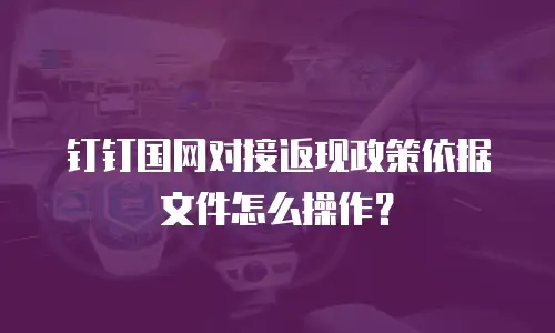 钉钉国网对接返现政策依据文件怎么操作？