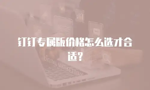 钉钉专属版价格怎么选才合适？