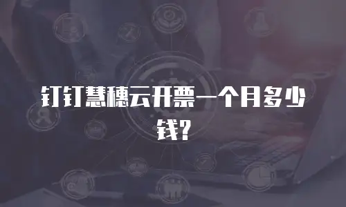 钉钉慧穗云开票一个月多少钱？