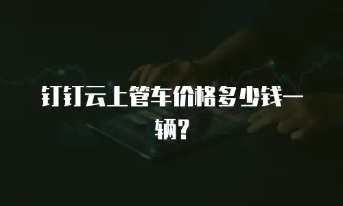 钉钉云上管车价格多少钱一辆？