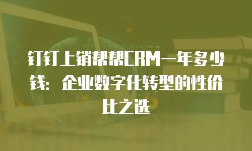 钉钉上销帮帮CRM一年多少钱：企业数字化转型的性价比之选