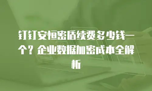 钉钉安恒密盾续费多少钱一个？企业数据加密成本全解析